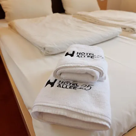 Allee 25 Hotel